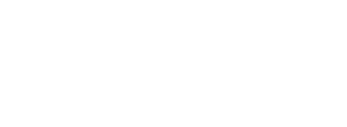 Logo Talix International Agence de consulting en développement international
