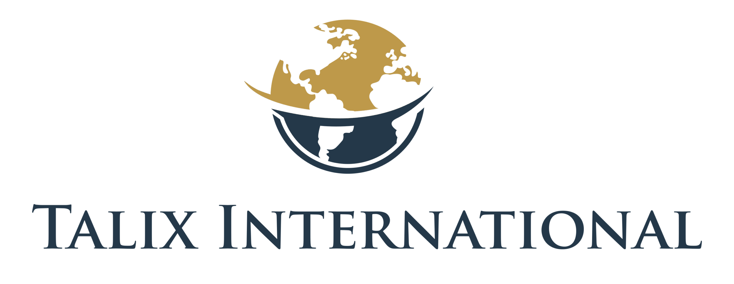 Logo Talix International Agence de consulting en développement international